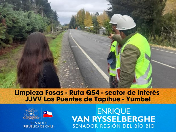 JJVV Los Puentes, Tapihue