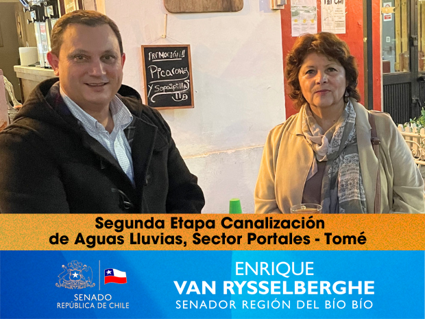 Canalización Sector Portales